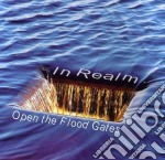 In Realm - Open The Flood Gates