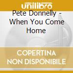 Pete Donnelly - When You Come Home cd musicale di Pete Donnelly