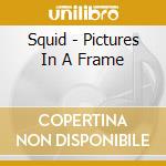 Squid - Pictures In A Frame cd