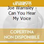 Joe Wamsley - Can You Hear My Voice cd