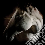 Brother Dege - How To Kill A Horse cd
