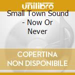 Small Town Sound - Now Or Never cd