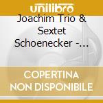 Joachim Trio & Sextet Schoenecker - Blunatic cd