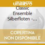 Classic Ensemble Silberfloten - Le Jardin Des Princesses cd