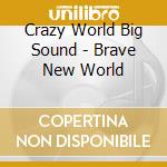 Crazy World Big Sound - Brave New World cd