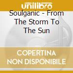 Soulganic - From The Storm To The Sun cd