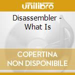Disassembler - What Is cd