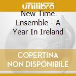 New Time Ensemble - A Year In Ireland cd