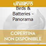 Birds & Batteries - Panorama