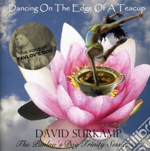 David Surkamp - Dancing On The Edge Of A Teacup cd musicale di David Surkamp