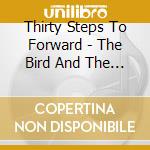 Thirty Steps To Forward - The Bird And The Fool cd