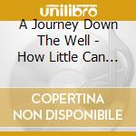 A Journey Down The Well - How Little Can Be The Orchestra cd