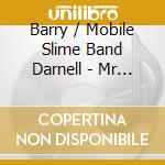 Barry / Mobile Slime Band Darnell - Mr Slim He'S A Dude cd musicale di Barry / Mobile Slime Band Darnell