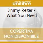 Jimmy Reiter - What You Need cd