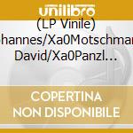 (LP Vinile) Johannes/Xa0Motschmann David/Xa0Panzl Boris/Xa0Bolles - Johannes/Xa0Motschmann: Electric/Xa0Fields/Xa0/Xa0 vinile