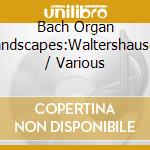 Bach Organ Landscapes:Waltershausen / Various cd