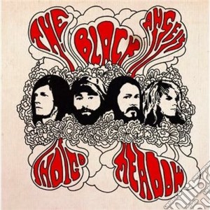 Black Angels (The) - Indigo Meadow cd musicale di The Black angels
