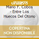 Mario F. Cobos - Entre Los Huecos Del Otono cd