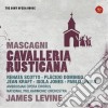 Pietro Mascagni - Cavalleria Rusticana cd