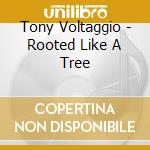 Tony Voltaggio - Rooted Like A Tree cd