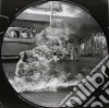 Rage Against The Machine - Rage Against The Machine (Picture Disc) cd