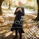 Joan Baez - Whistle Down The Wind cd