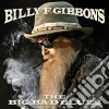 Billy Gibbons - Big Bad Blues cd