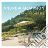 Andrew Mcmahon In The Wilderness - Upside Down Flowers cd
