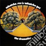 Dramatics (The) - Whatcha See Is Whatcha Get