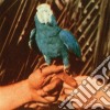 Andrew Bird - Are You Serious? cd