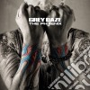 Grey Daze - Phoenix cd