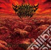 Implements Of Hell - Sea Of Necrophenomena cd