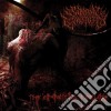 Suicidal Causticity - Spiritual Decline cd