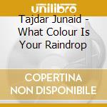 Tajdar Junaid - What Colour Is Your Raindrop cd