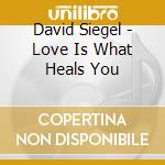 David Siegel - Love Is What Heals You cd