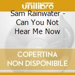 Sam Rainwater - Can You Not Hear Me Now cd