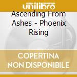 Ascending From Ashes - Phoenix Rising