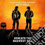 Dustin Hamman - Beneath The Harvest Sky cd
