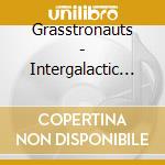 Grasstronauts - Intergalactic Freedom Fighter cd