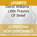 David Williams - Little Prayers Of Belief cd