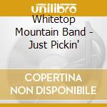 Whitetop Mountain Band - Just Pickin'