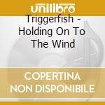 Triggerfish - Holding On To The Wind cd