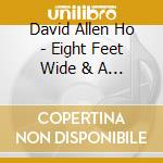 David Allen Ho - Eight Feet Wide & A Mile Deep cd