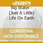 Big Water - (Just A Little) Life On Earth cd