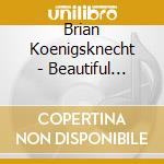 Brian Koenigsknecht - Beautiful Distractions cd