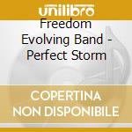 Freedom Evolving Band - Perfect Storm cd