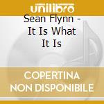 Sean Flynn - It Is What It Is cd