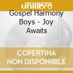 Gospel Harmony Boys - Joy Awaits cd
