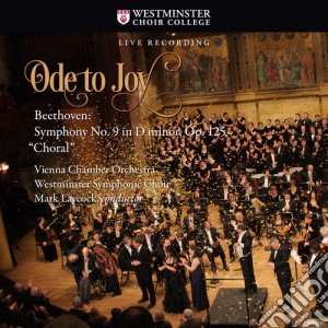 Ludwig Van Beethoven - Vienna Chamber Orchestra - Ode To Joy / Beethoven Symphony No.9 In cd musicale di Ludwig Van Beethoven