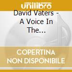 David Vaters - A Voice In The Wilderness, Vol. 1 cd